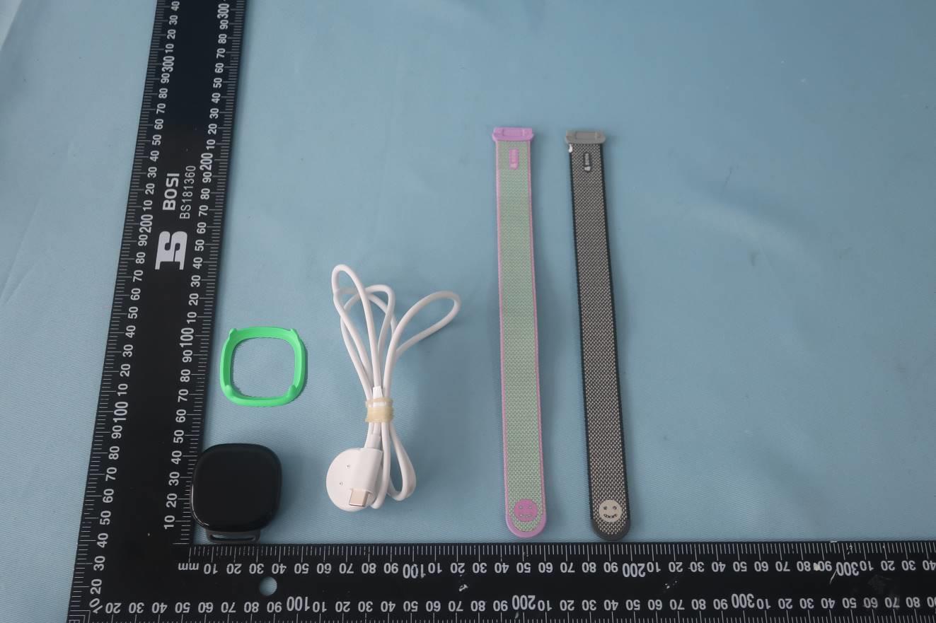 Google G4SKY external FCC photo from External Photos p. 8